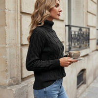 Pull à col roulé en maille torsadée